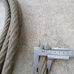 Трость гипгий