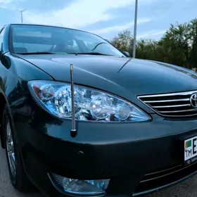 Antenna çykýan tokly