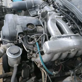 марк матор ввти