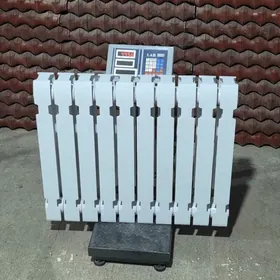 Çoýun Ataplenýa Batareý