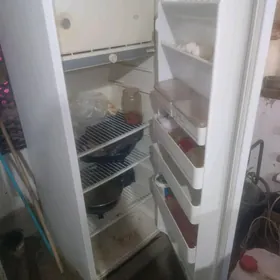 holodilnik uly arassa