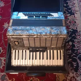 Аккордеон/Akkordeon