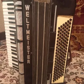 Аккордеон/Akkordeon