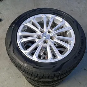 Karolla Dysga pakryşga 16