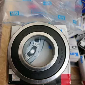 Pasipnik подшипник 6205