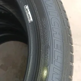 245.45.18.мышлен.пакришка