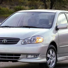 Woditel gerek maşin