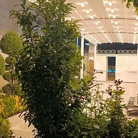 акдаг  пергола навес  тент