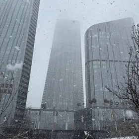 Berkarar arenda magazin