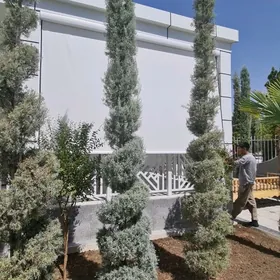 АКДАГ зип перде zip perde