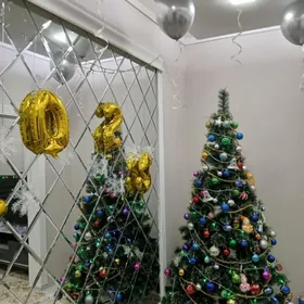 елка бойи .2.10