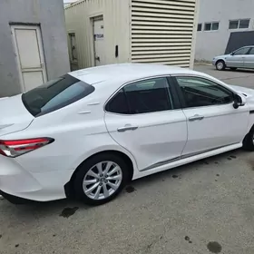 Toyota Camry 2019