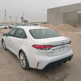 Toyota Corolla 2024