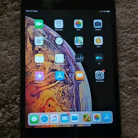 i pad mini 2