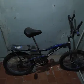 велик пока тигиль