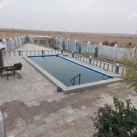 SIZIN ARZUWUNYZDAKY BET JAY