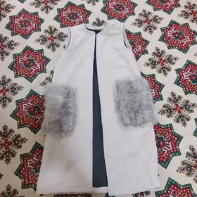 palta ÿüñ ÿeñsis