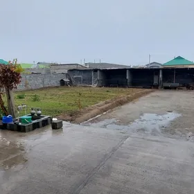 Satlyk Yalkym plan jay