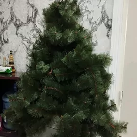 Продается Ёлка!
