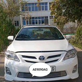 CAROLLA FARA HALIJI 2011 2013