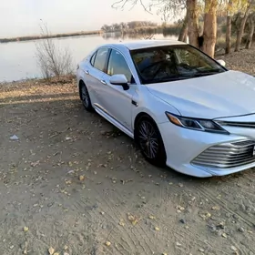Toyota Camry 2019