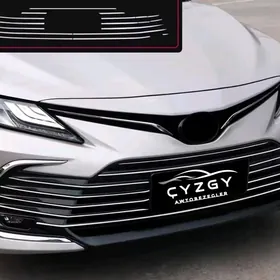 Camry Oblisowka Nikel