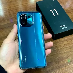 Mi 11Pro     12/256Gb