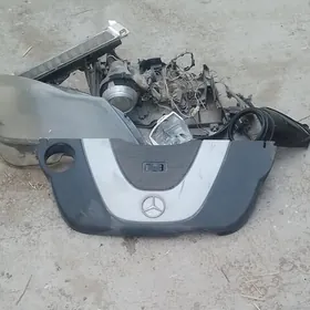 mersedes zapjaslary 2010 11