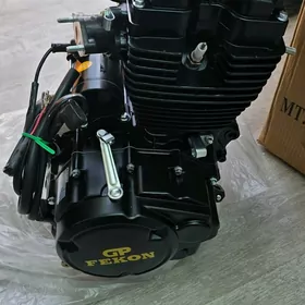 Fekon GP 150 GP 200