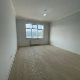 Gurtly pol elitka 2 kom