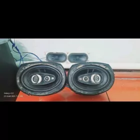 pioneer kalonka arginal 200wat