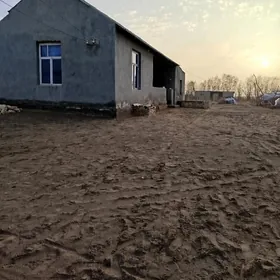 murgap gowsut bent kirf