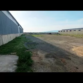 Бугдайлы 1 гектар онумчилик