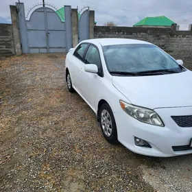 Toyota Corolla 2010