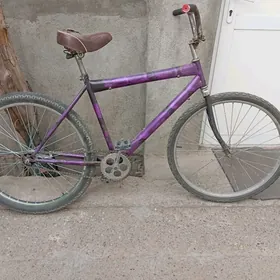 tigir gyssagly uly 26lyk welik