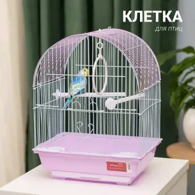 Kletka kapasy клетка