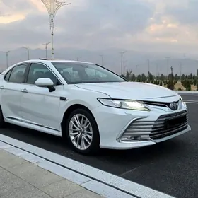 Toyota Camry 2019