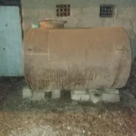 Demir bocga 3 santy galyn