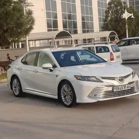 Toyota Camry 2020