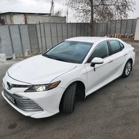 Toyota Camry 2019
