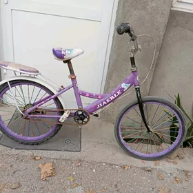 tigir kici gyssagly caga welik