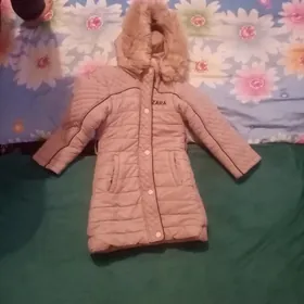 Куртга тэзе