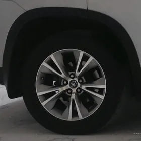 OBMEN haylander  teker