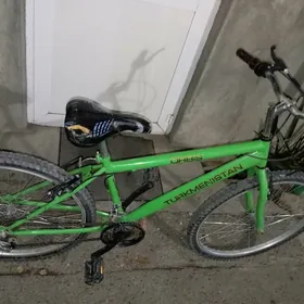 tigir gyssagly turkmenistan 26