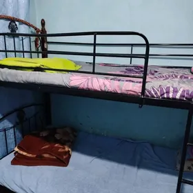 2 gatly caga krabady