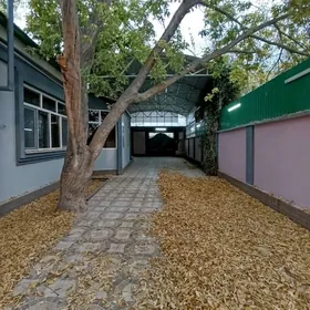 Ереванская 5 ком 5 kom