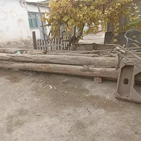 agaç polluk naw agaçlar