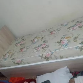 ady dywan bet arassa  2 sany