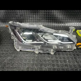 corolla 21 taxi corolla