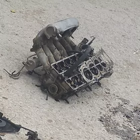 MARK GALOWKO 2.5 PRASDOY